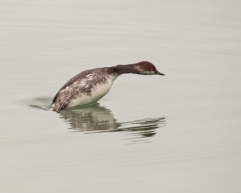 DPP_03394-1.jpg