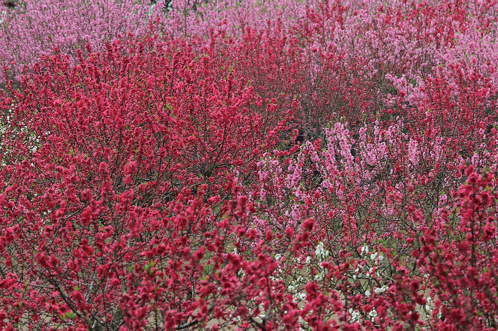 IMG_7688.jpg