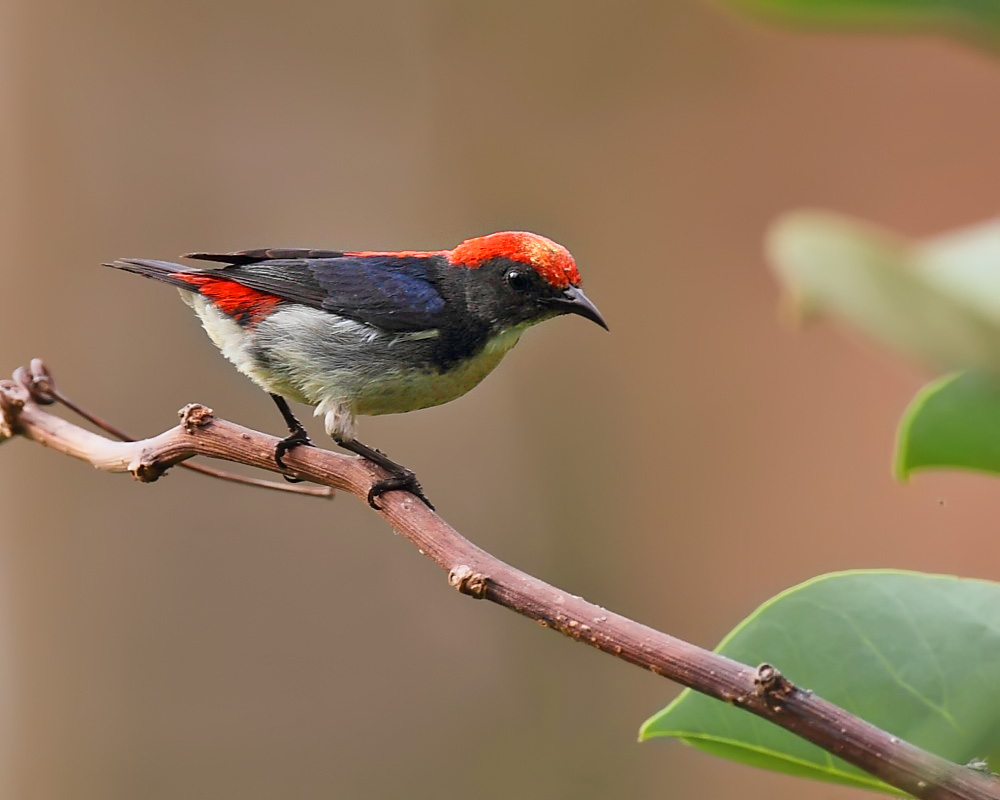 DPP_03888-1.jpg