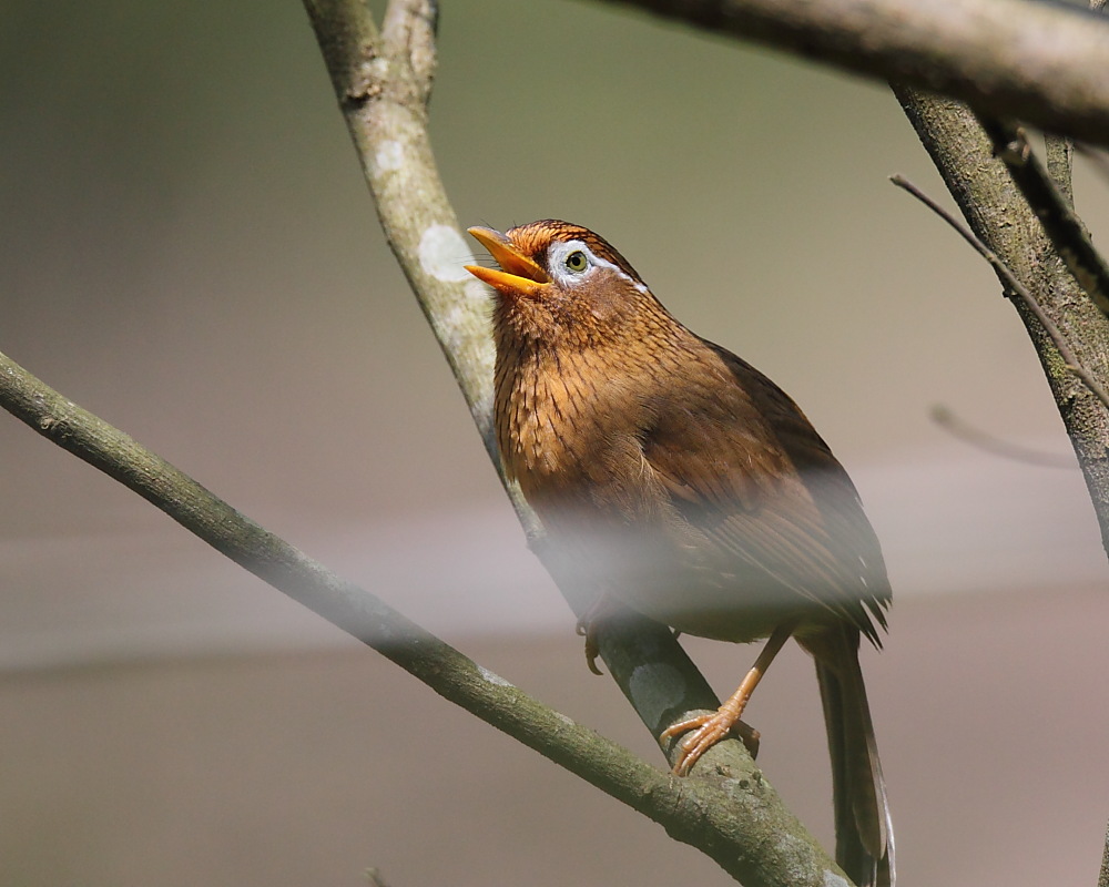 DPP_03945.JPG