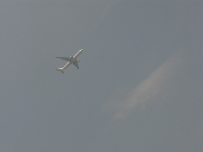 IMG_7428.jpg