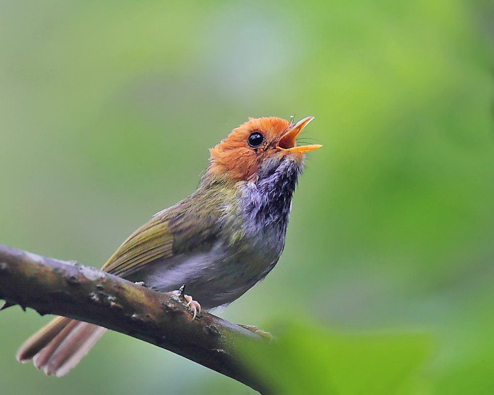 DPP_04235-2.jpg