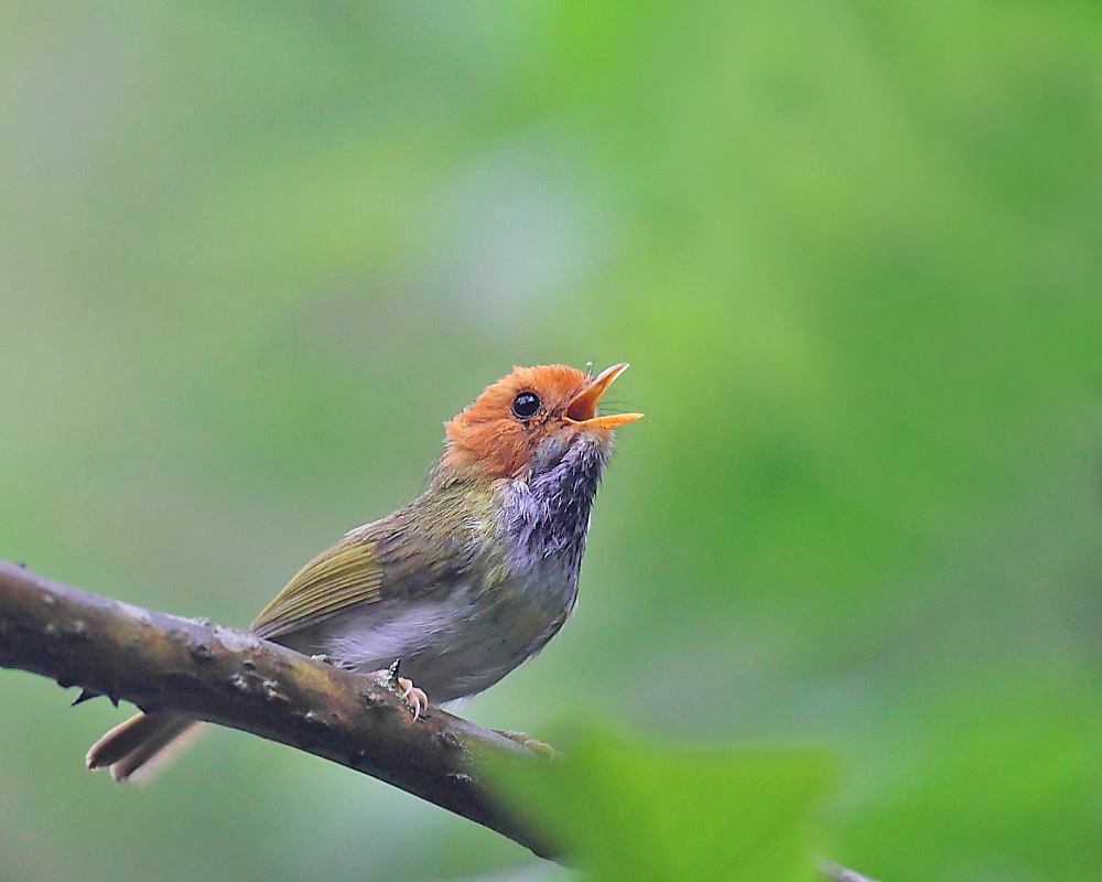 DPP_04231-2.jpg