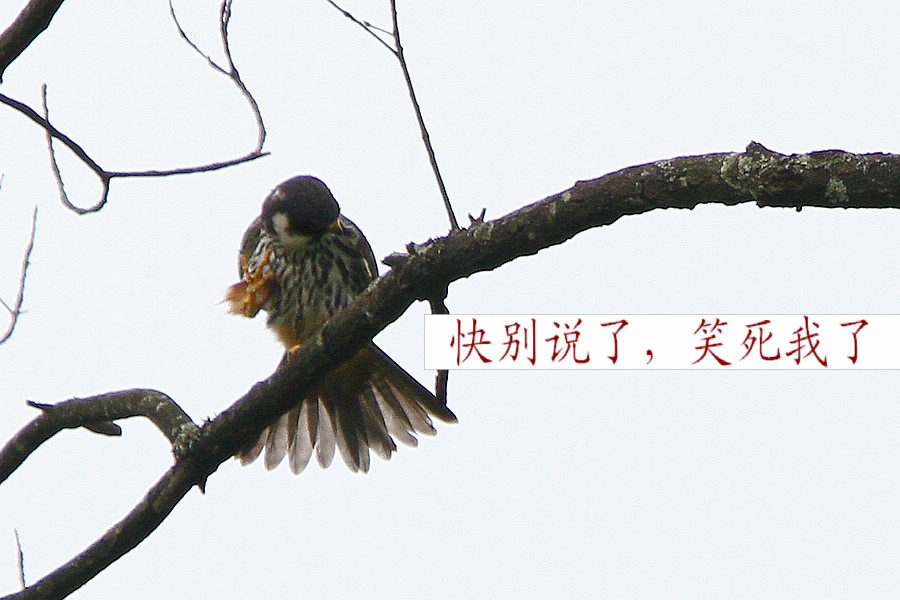 2012_06_24_0284a.jpg