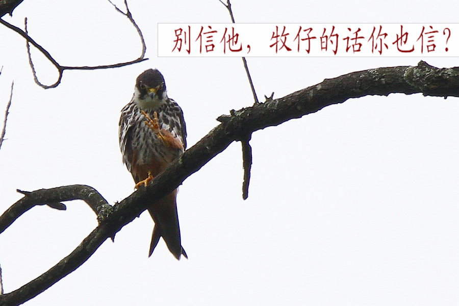 2012_06_24_0308a.jpg