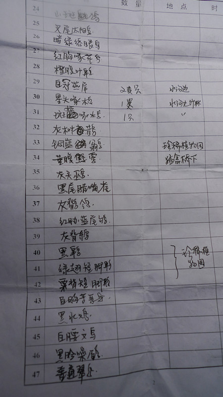 P1120950_.jpg