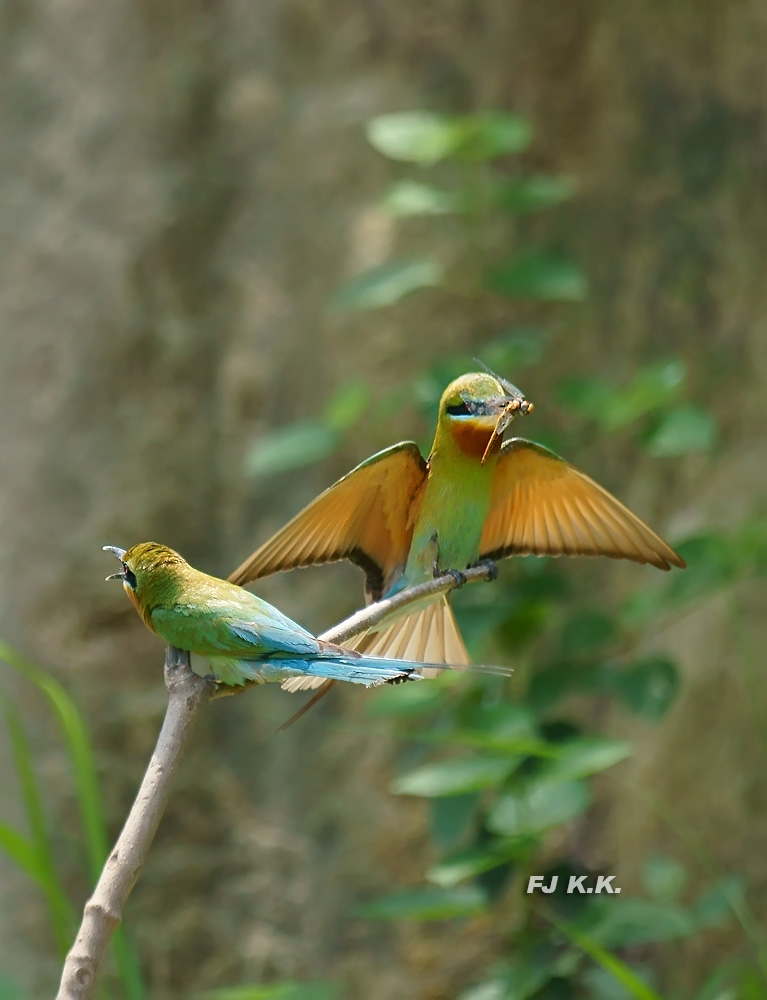 DSC05424a.jpg