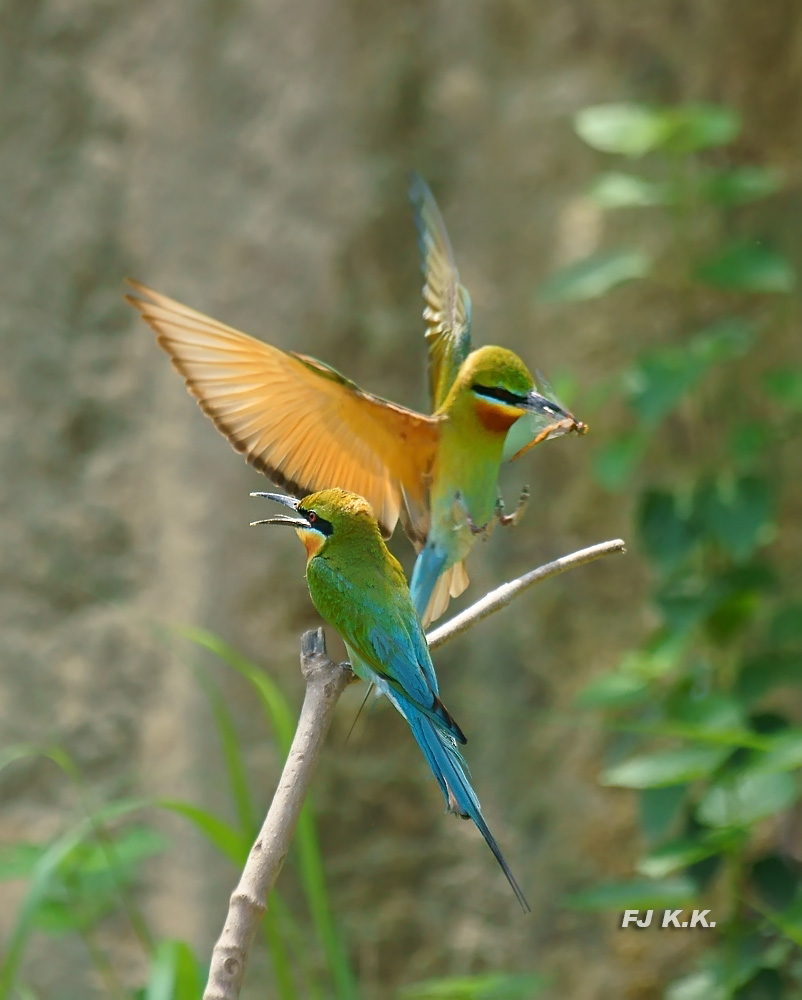 DSC05422a.jpg