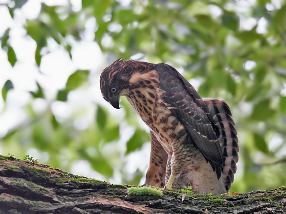 DPP_1224-1.jpg