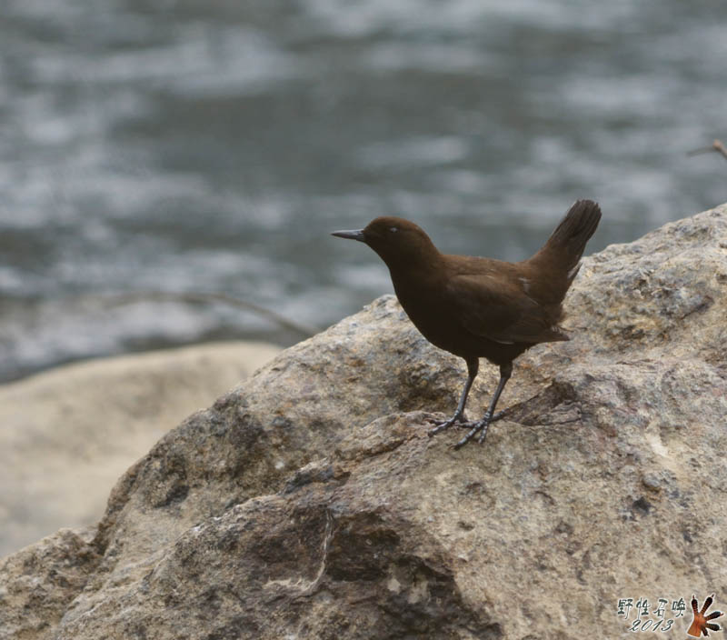 DSC_3566a.jpg