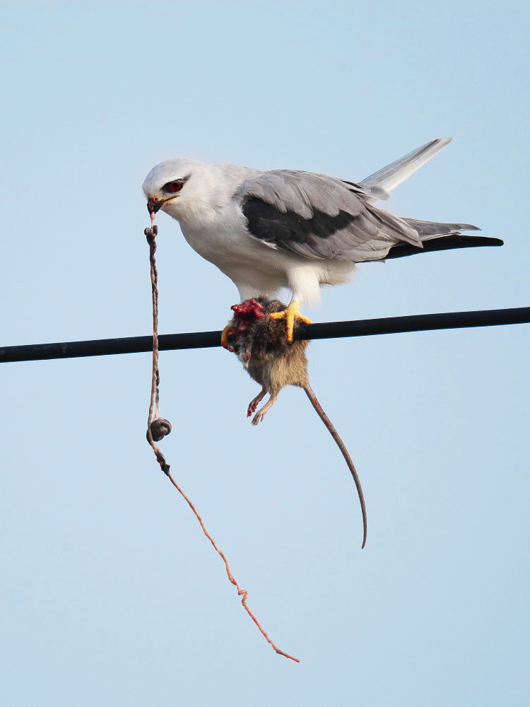 DPP_2412-1.jpg