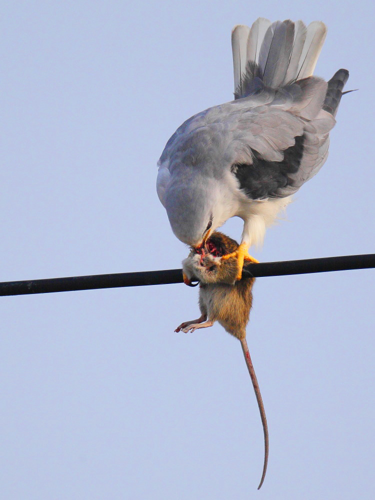 DPP_2613-1.jpg