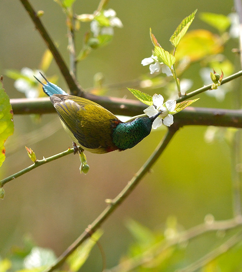 DSC_7158.jpg