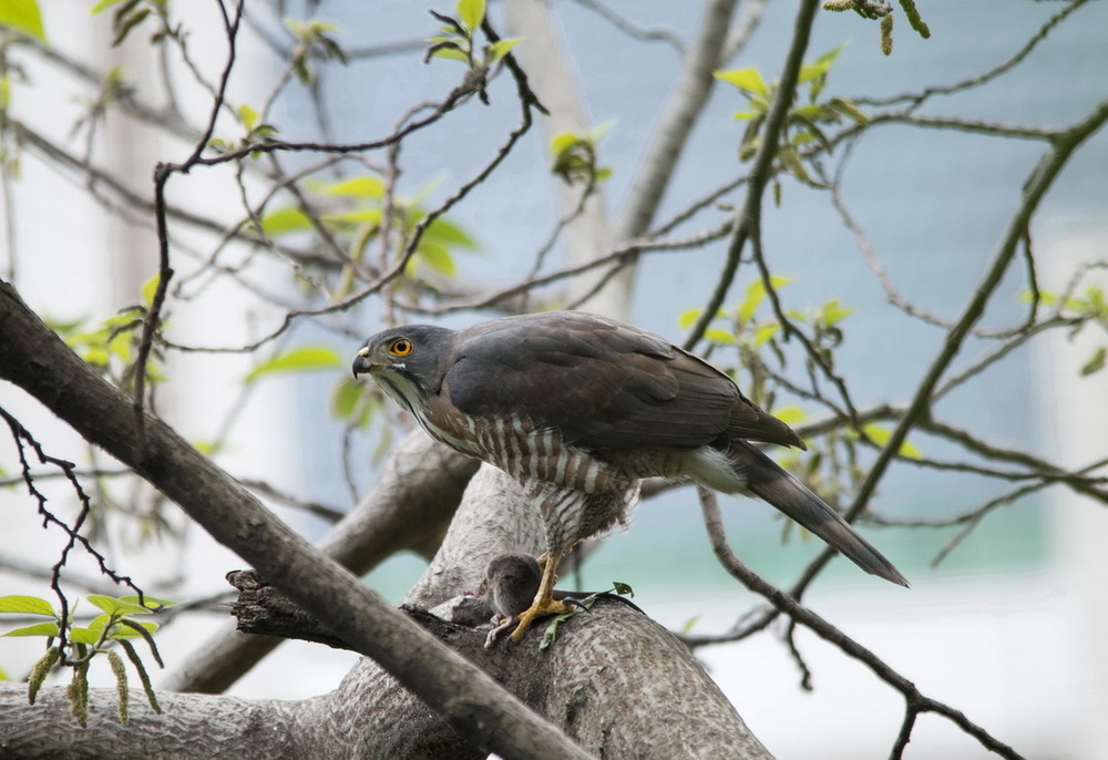 DSC_3047n.jpg