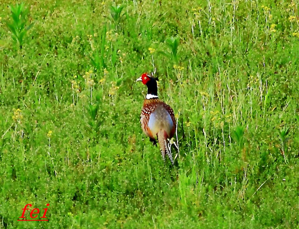 IMG_5606.jpg