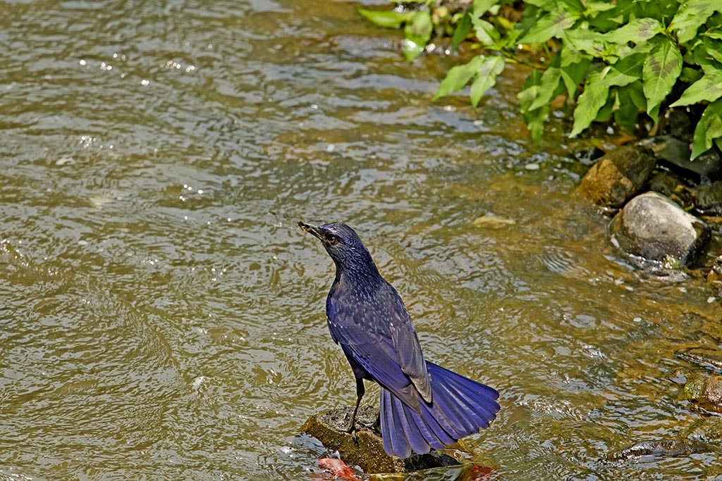 AQ0E2925a.jpg