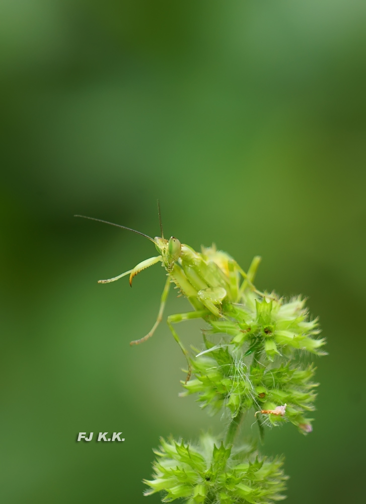 DSC07763a.jpg