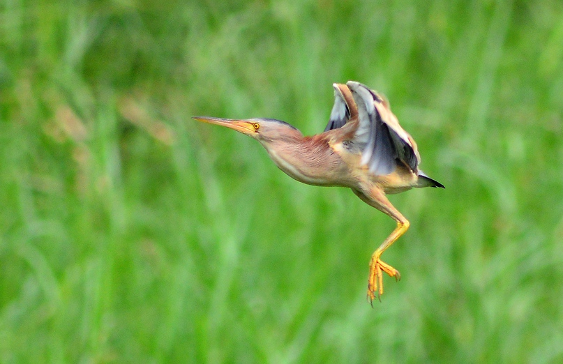 DSC_7573_.jpg