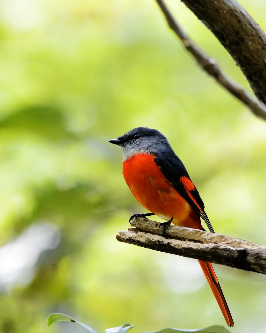_DSC3098n1.jpg