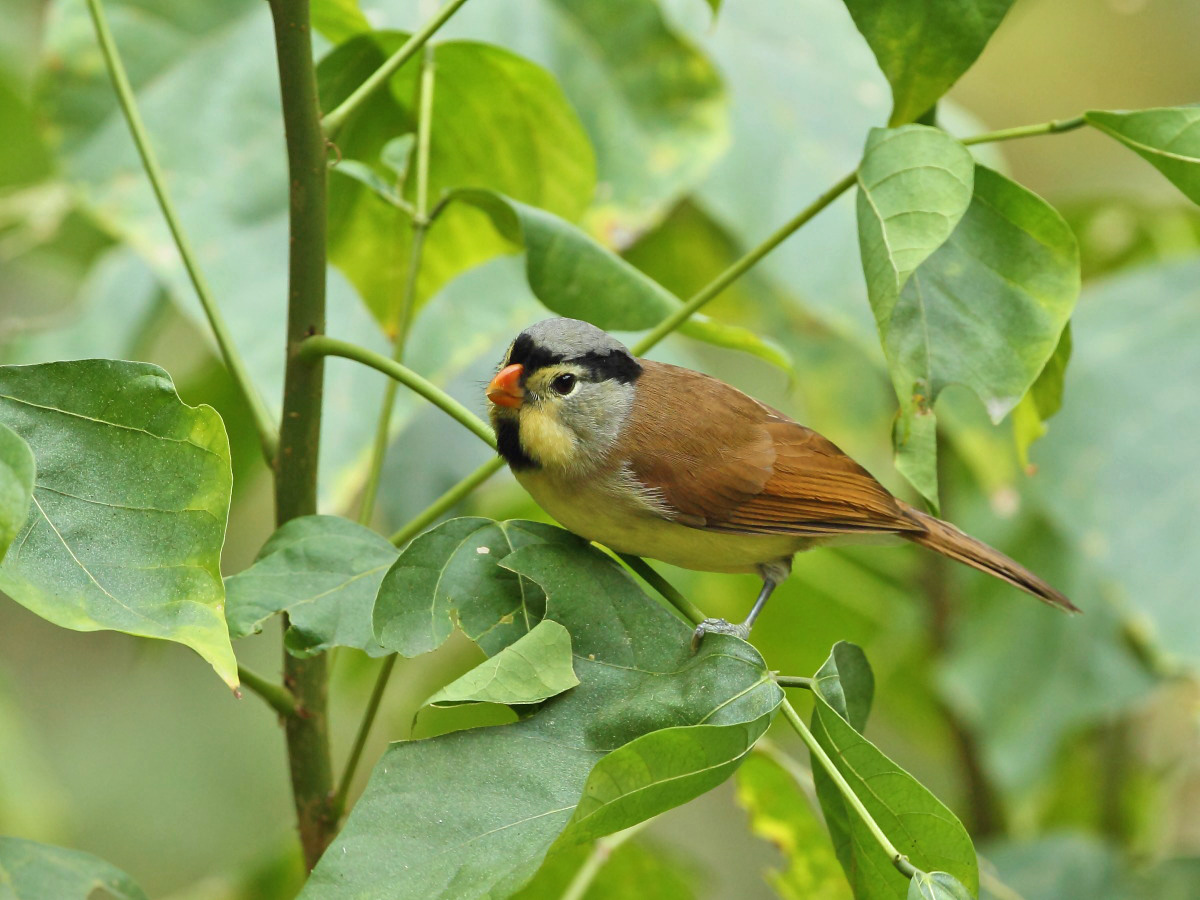 DPP_3415-1.jpg