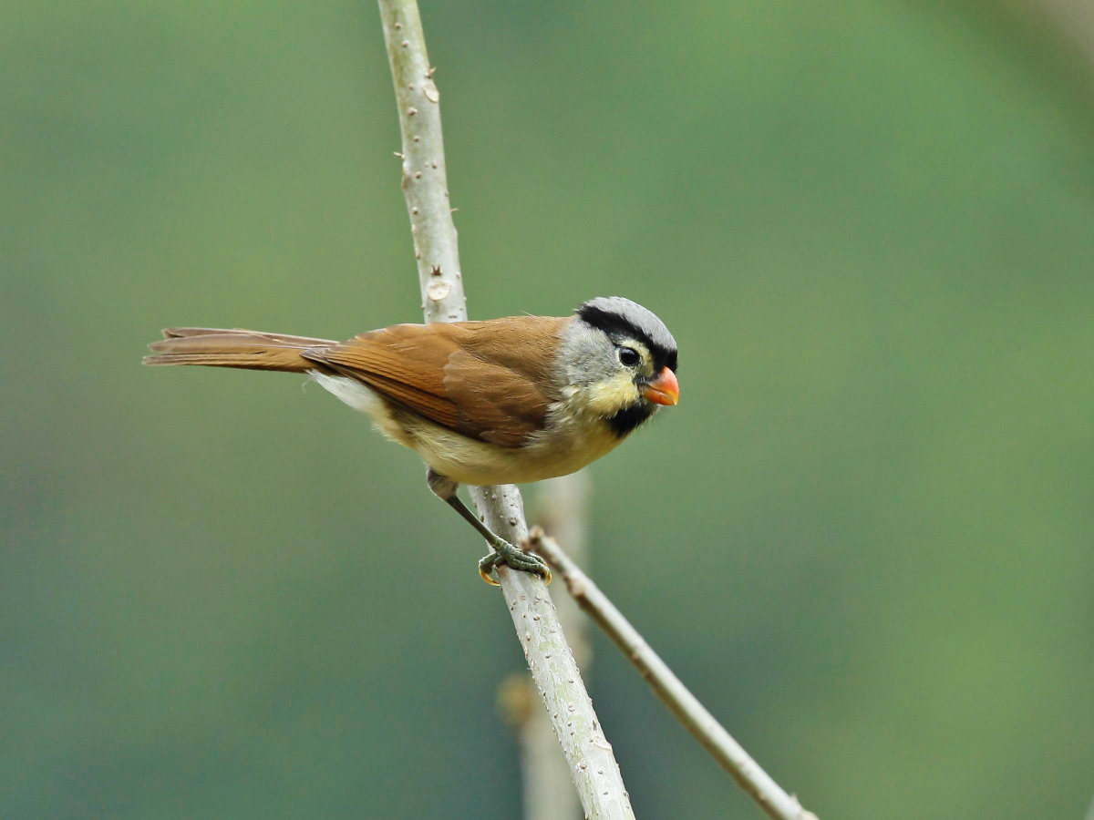 DPP_3421-1.jpg