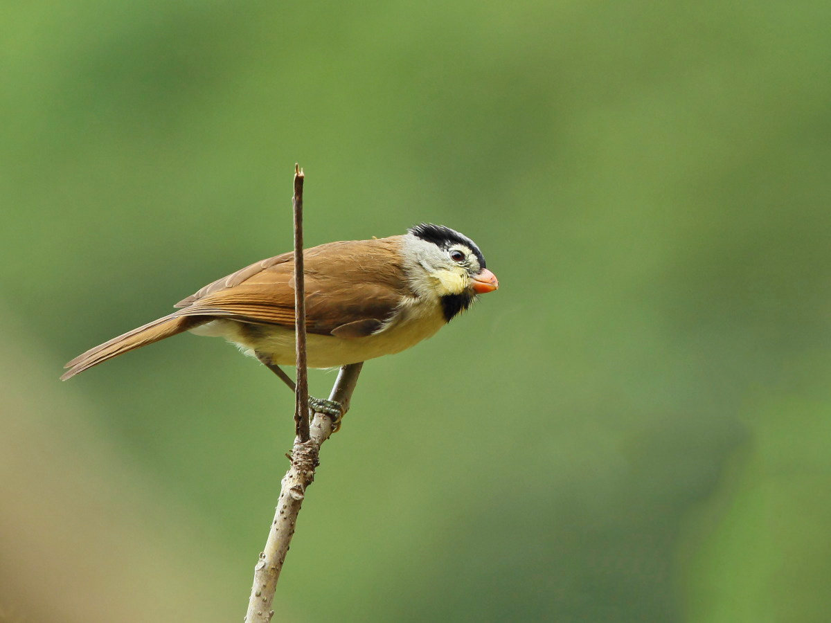 DPP_3417-1.jpg