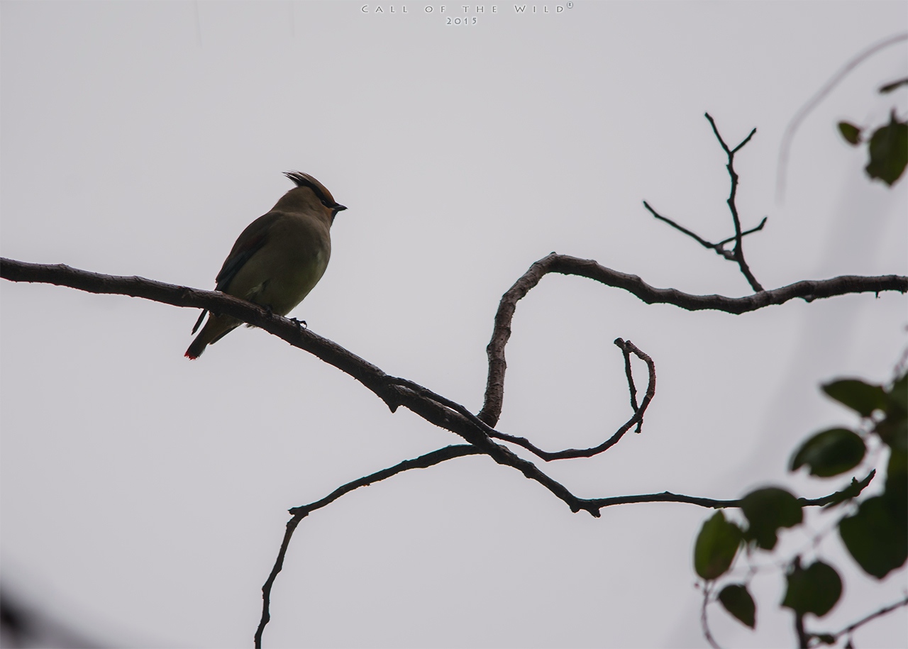 DSC_3494.jpg