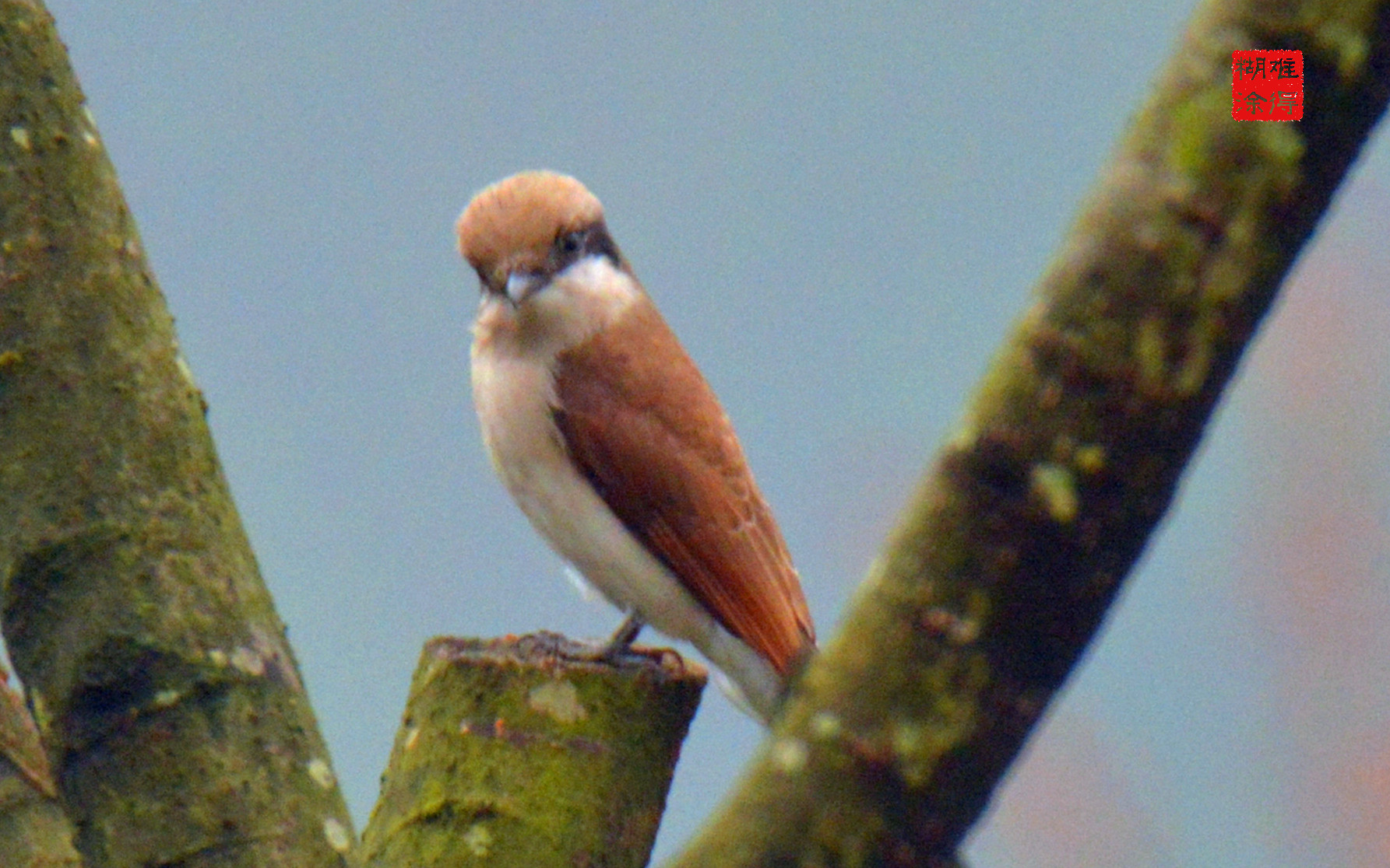 AAD_0093.JPG