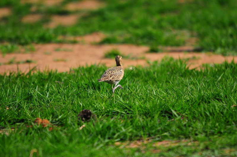 DSC_3547.JPG