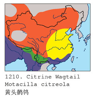 b1210.jpg
