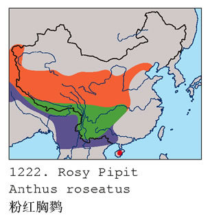 b1222.jpg