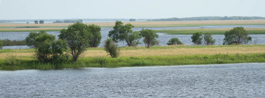 IMG_9990_ͼ.jpg