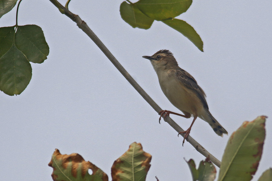 01βݺ906.jpg