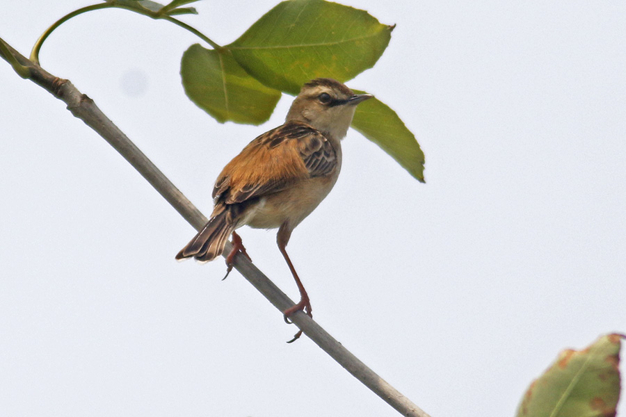 01βݺ3906.jpg
