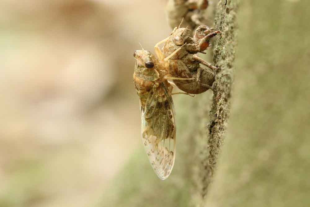 3S7A2850_ͼ.jpg
